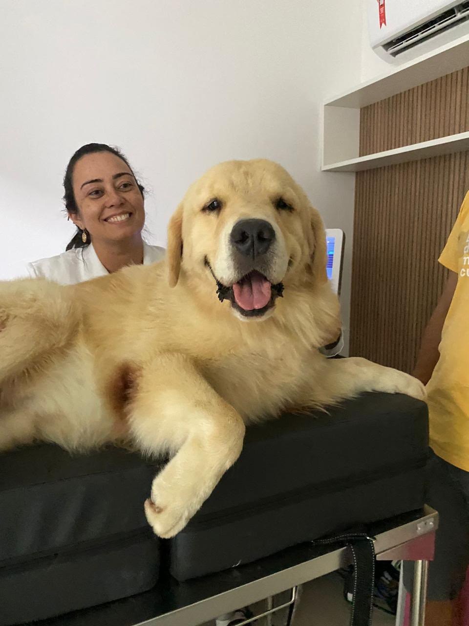Profissional da SAVE acompanhada de paciente canino durante atendimento