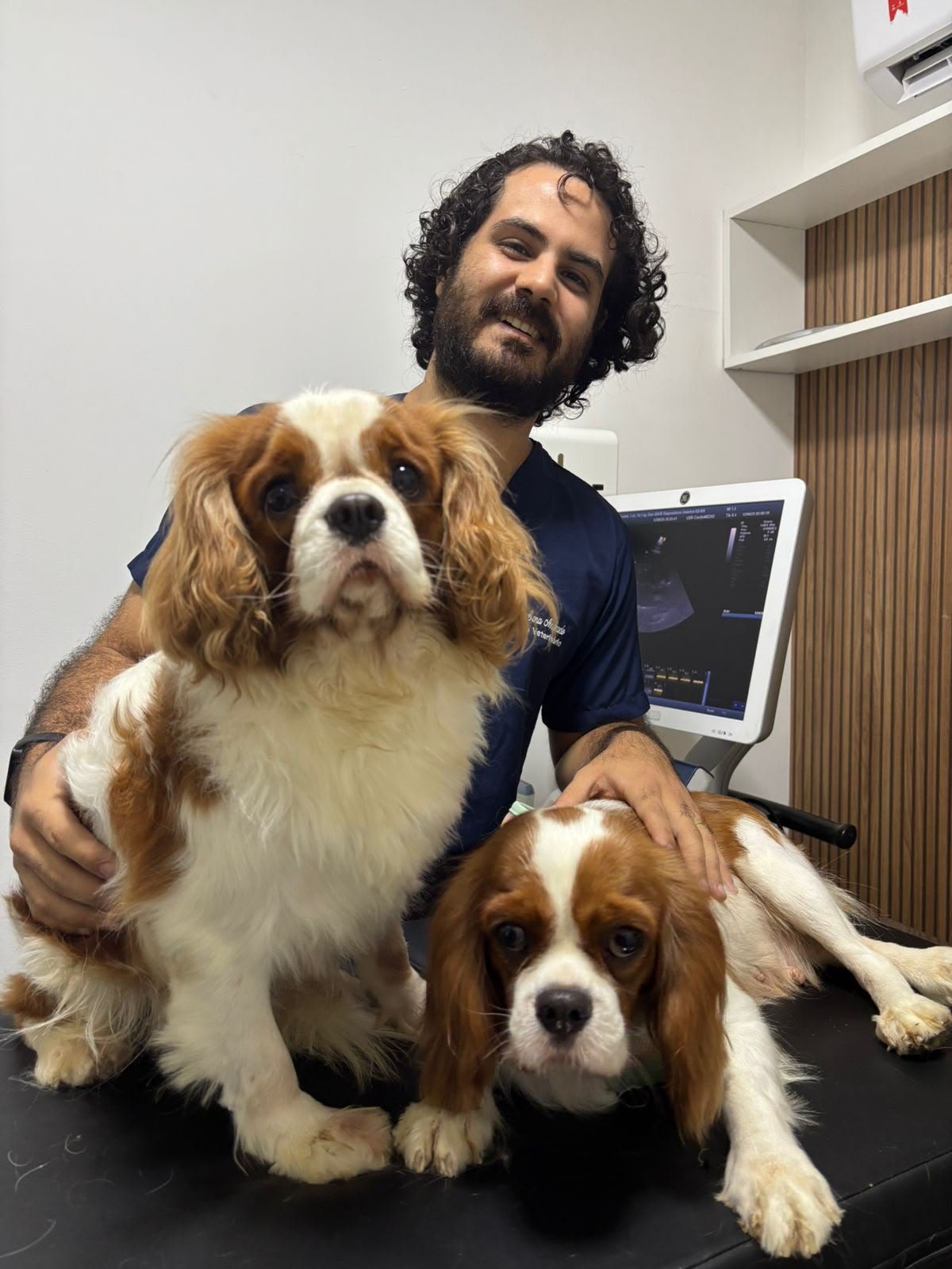 Profissional da SAVE com pacientes veterinários