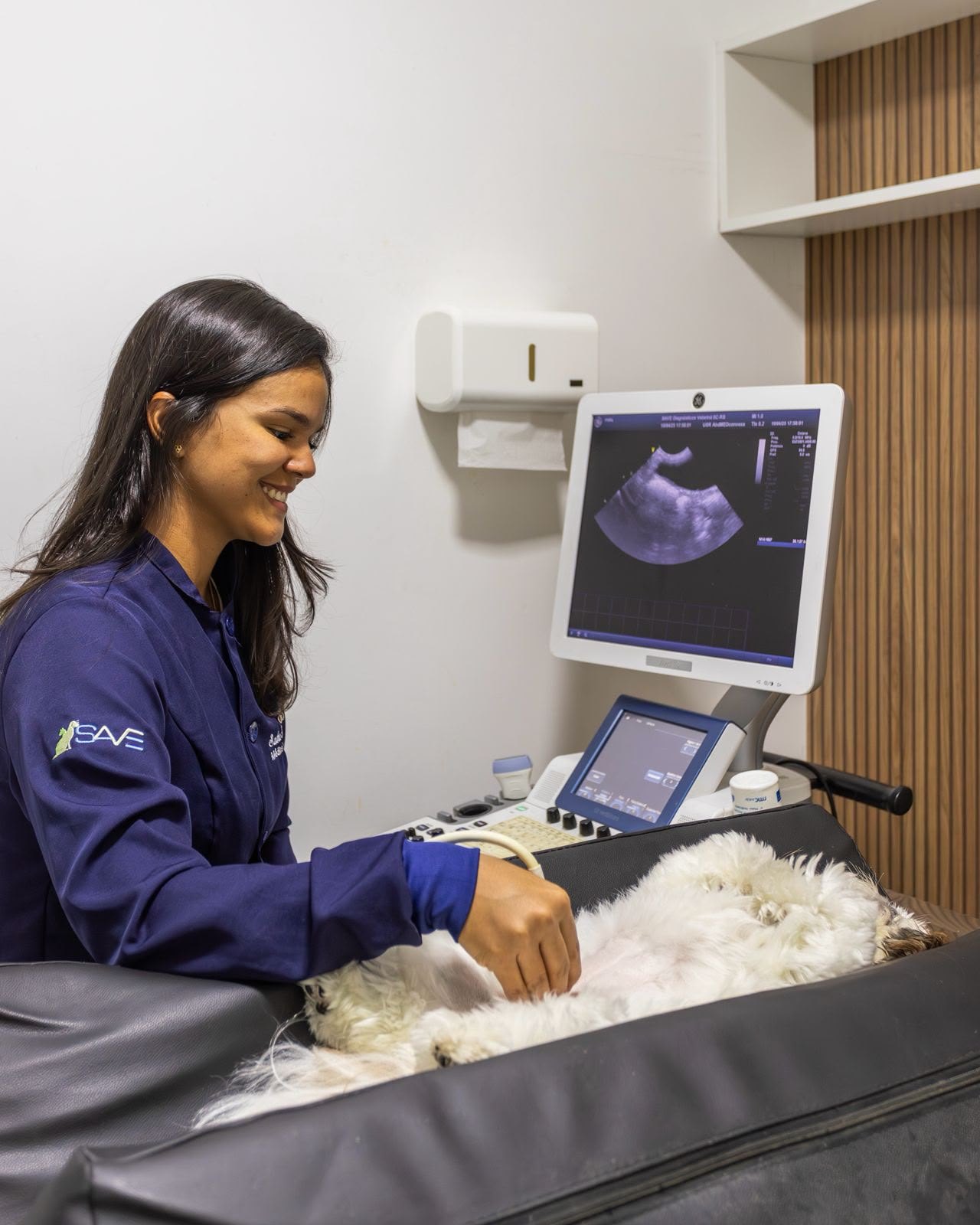 Profissional da SAVE realizando ultrassonografia em paciente veterinário